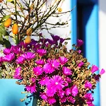 カントリーハウス Herdade Da Corte *
