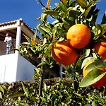 Herdade Da Corte