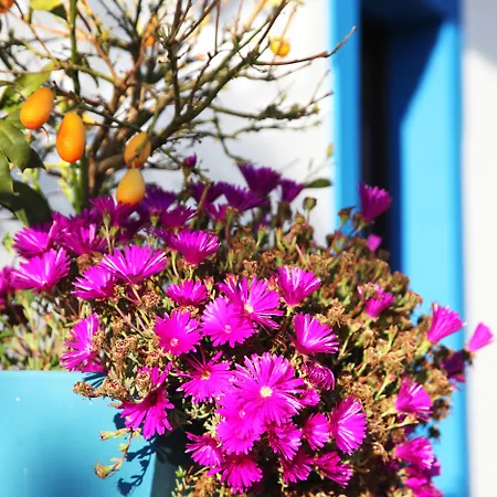 Hétvégi ház Herdade Da Corte *