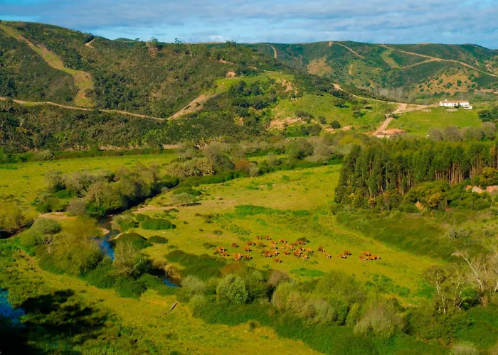 Herdade Da Corte تافيرا